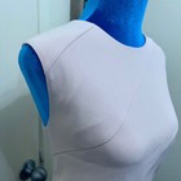 THEORY Blush Pink Fit & Flare Stretch Dress Sleeveless Lined 12 - Picture 6 of 10